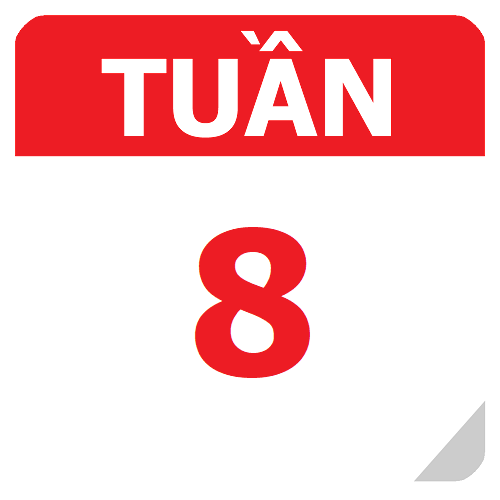 TKB Tuần 08 (từ 25/09 đến 01/10, năm học 2023-2024)