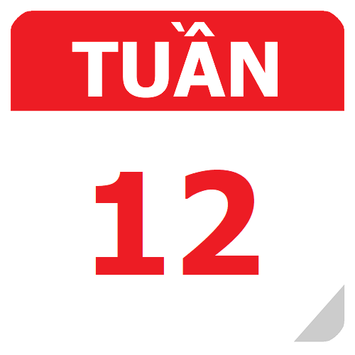 TKB Tuần 12 (từ 23/10 đến 29/10, năm học 2023-2024)