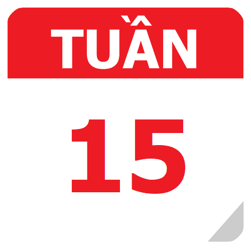TKB Tuần 15 (từ 13/11 đến 19/11, năm học 2023-2024)