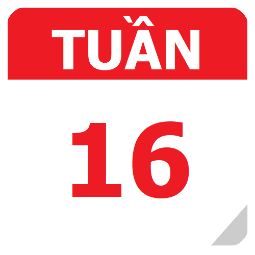 TKB Tuần 16 (từ 20/11 đến 26/11, năm học 2023-2024)