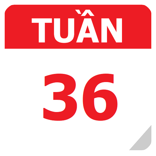 TKB Tuần 36 (từ 08/04 đến 14/04, năm học 2023-2024)