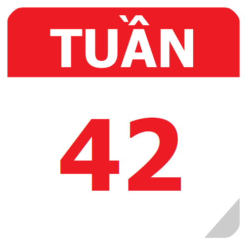 TKB Tuần 42 (từ 20/05 đến 26/05, năm học 2023-2024)