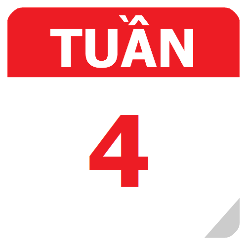 TKB Tuần 4 (từ 19/08 đến 25/08, năm học 2024-2025)