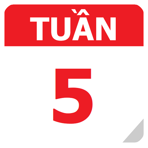 TKB Tuần 5 (từ 26/08 đến 01/09, năm học 2024-2025)