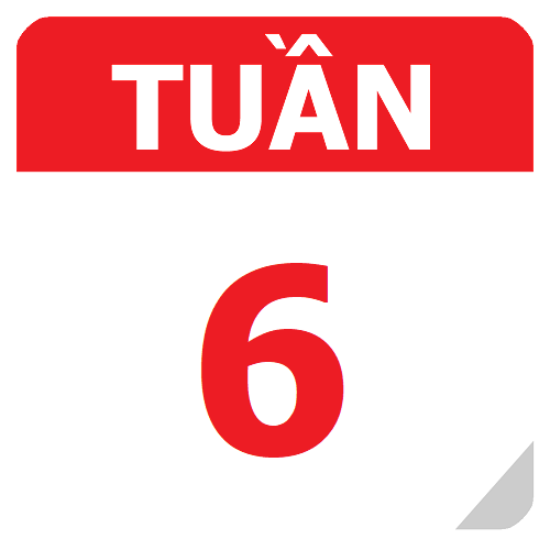 TKB Tuần 6 (từ 02/09 đến 08/09, năm học 2024-2025)