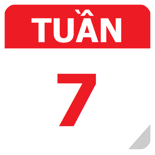 TKB Tuần 7 (từ 09/09 đến 15/09, năm học 2024-2025)