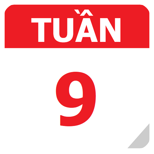 TKB Tuần 9 (từ 23/09 đến 29/09, năm học 2024-2025)
