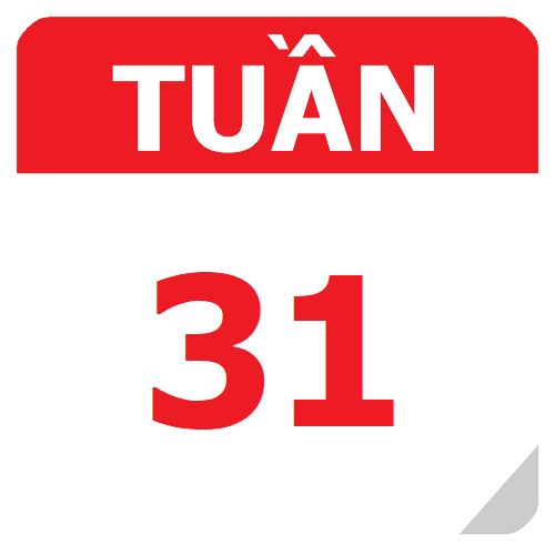 TKB Tuần 31 (từ 24/02 đến 02/03, năm học 2024-2025)