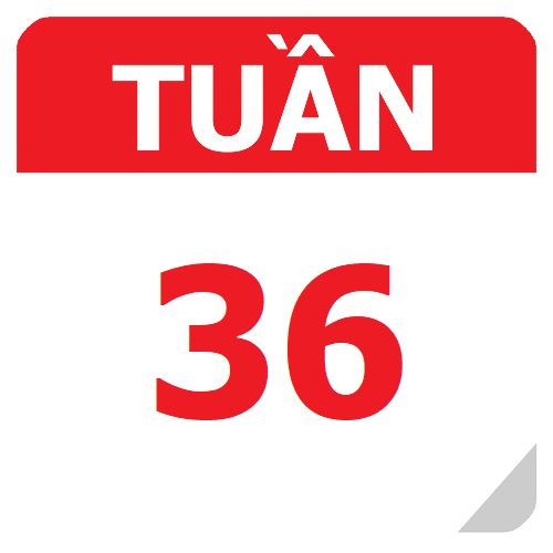 TKB Tuần 36 (từ 31/03 đến 06/04, năm học 2024-2025)