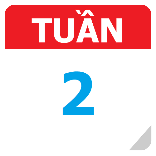 TKB Tuần 02 (từ 11/08 đến 17/08, năm học 2025-2026)