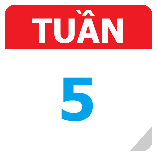 TKB Tuần 05 (từ 01/09 đến 07/09, năm học 2025-2026)